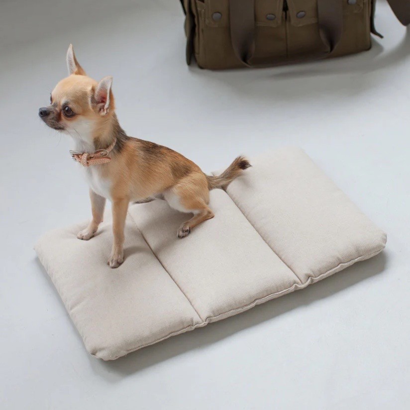 Portable Cushioned Soft Mat |  攜帶式軟墊