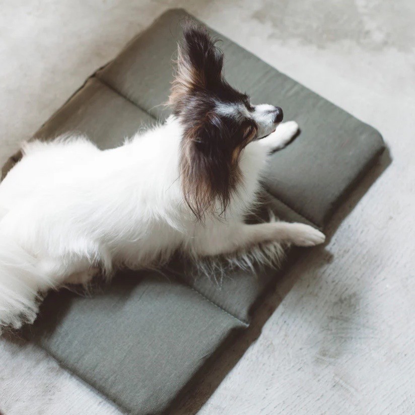 Portable Cushioned Soft Mat |  攜帶式軟墊
