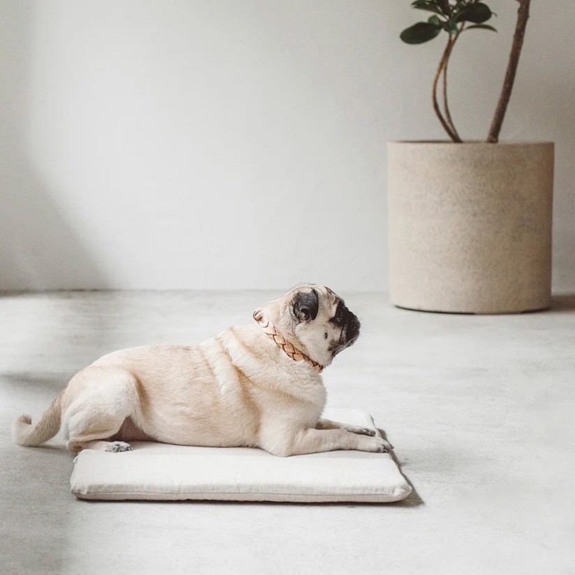 Portable Cushioned Soft Mat |  攜帶式軟墊