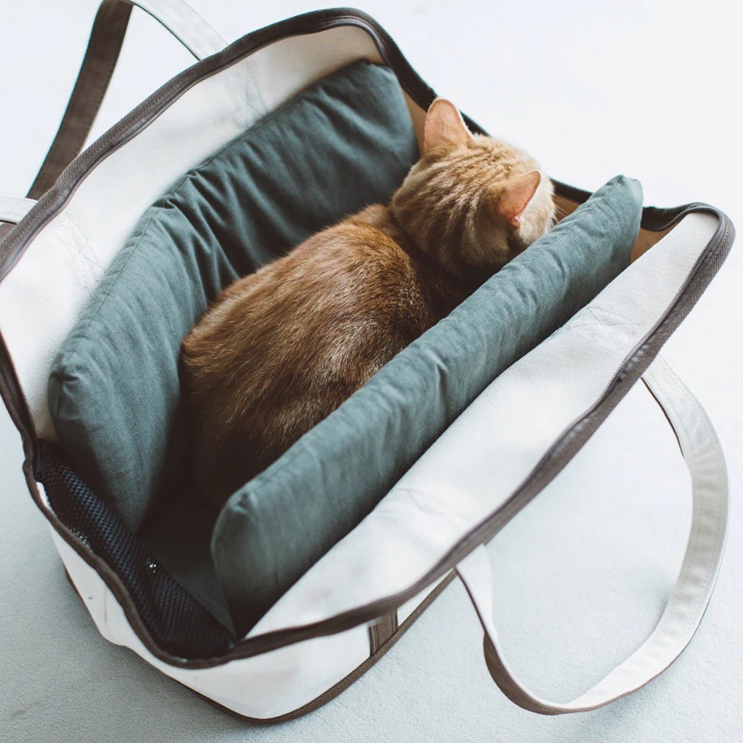 Portable Cushioned Soft Mat |  攜帶式軟墊