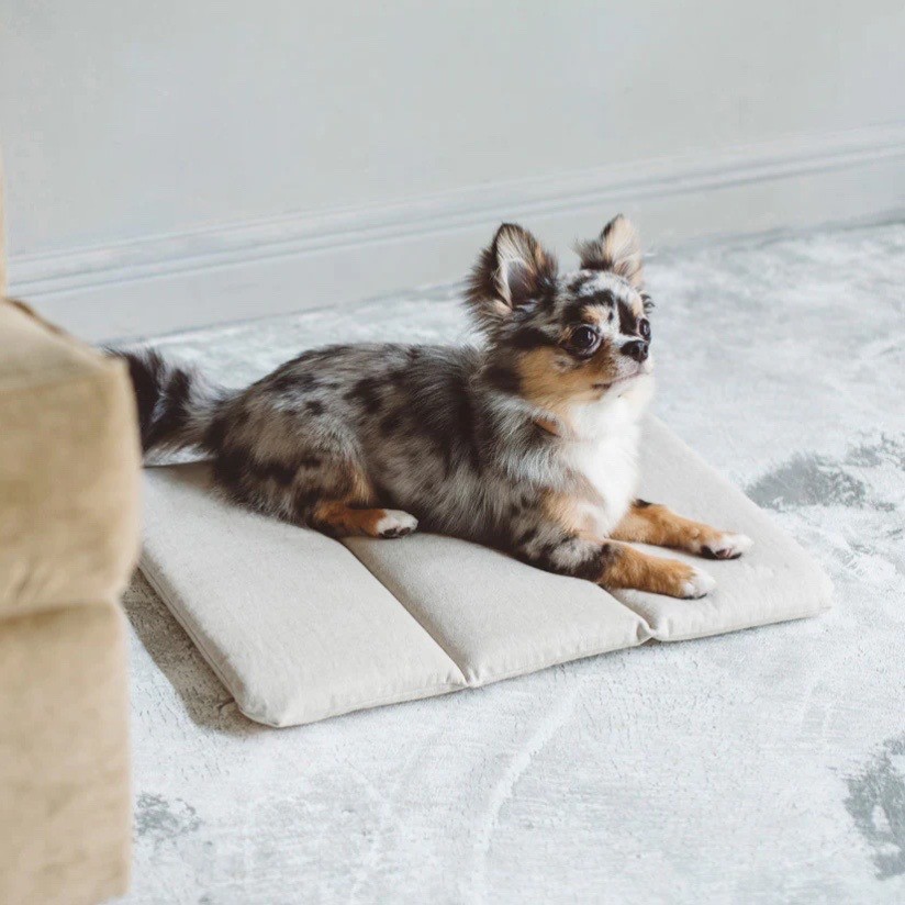 Portable Cushioned Soft Mat |  攜帶式軟墊