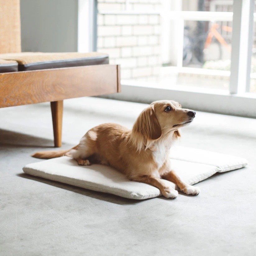 Portable Cushioned Soft Mat |  攜帶式軟墊