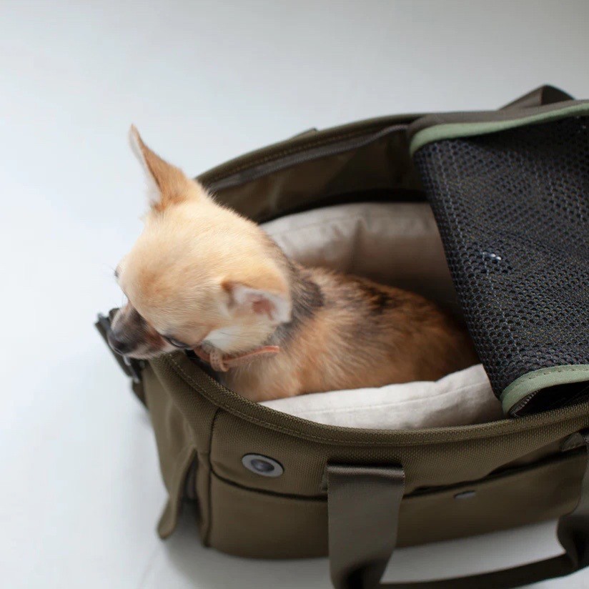 Portable Cushioned Soft Mat |  攜帶式軟墊
