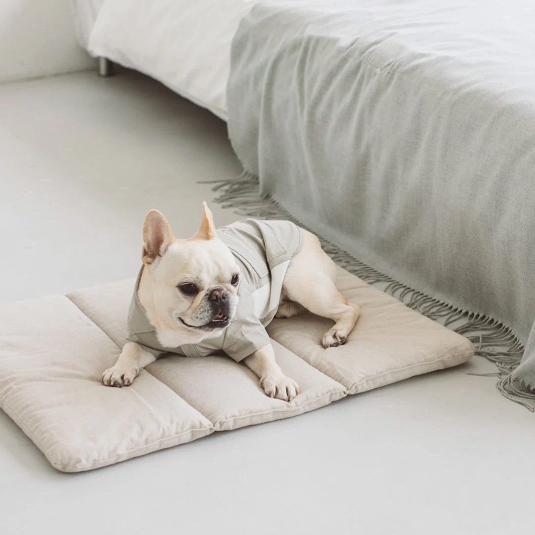 Portable Cushioned Soft Mat |  攜帶式軟墊