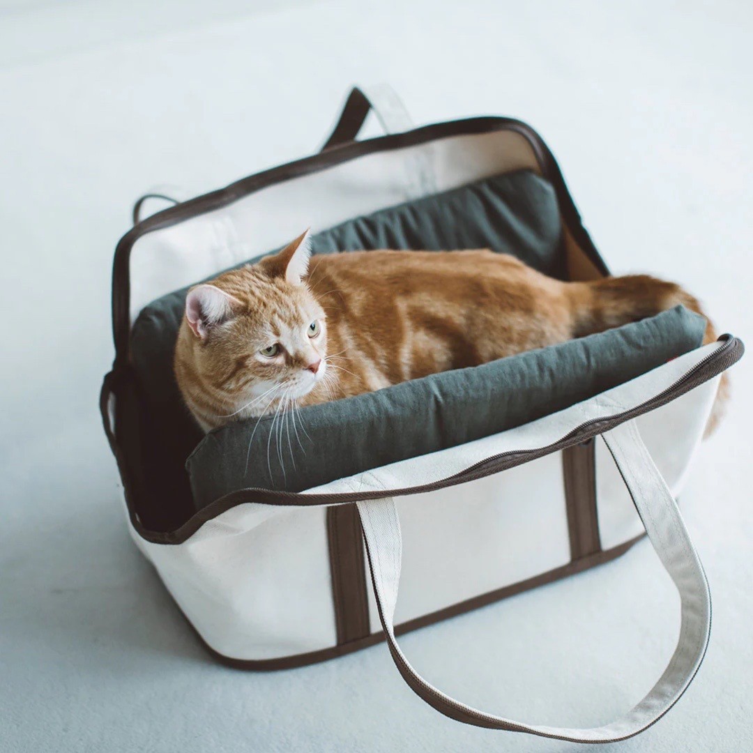 Portable Cushioned Soft Mat |  攜帶式軟墊