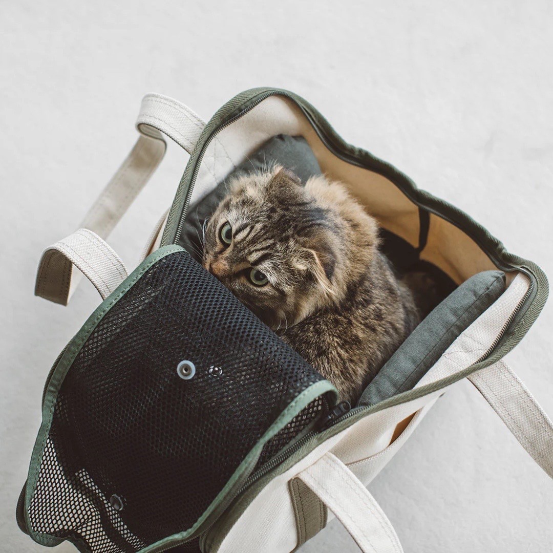 Portable Cushioned Soft Mat |  攜帶式軟墊