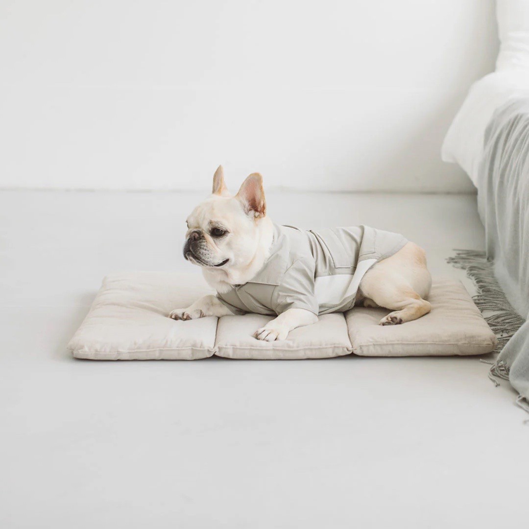 Portable Cushioned Soft Mat |  攜帶式軟墊