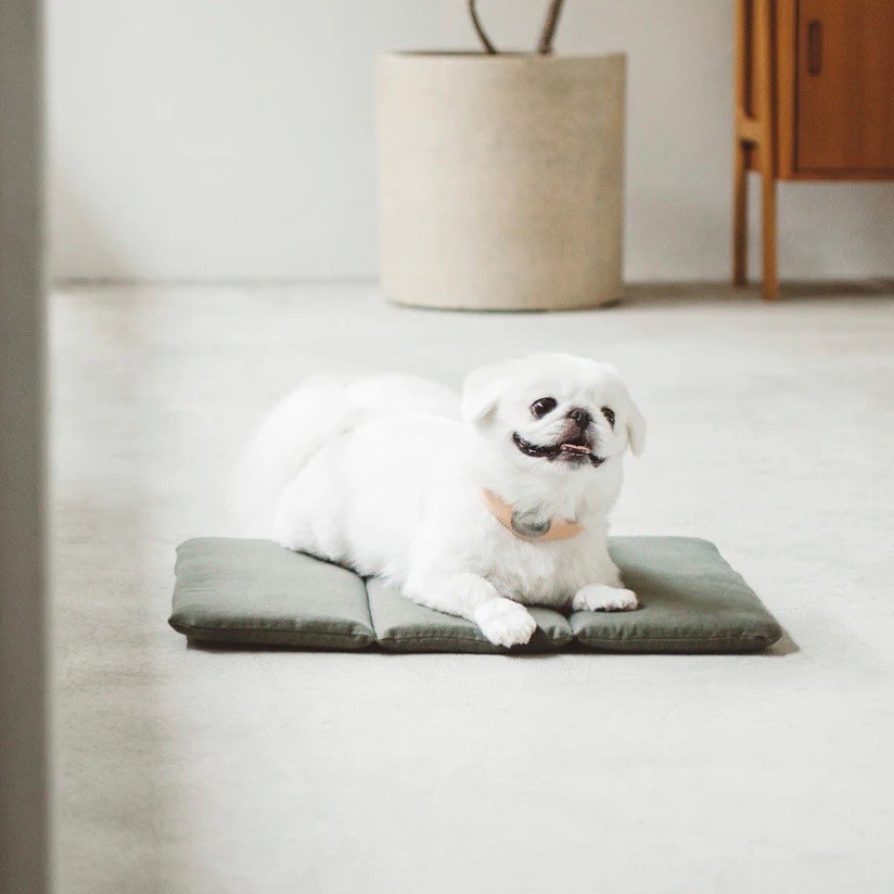 Portable Cushioned Soft Mat |  攜帶式軟墊
