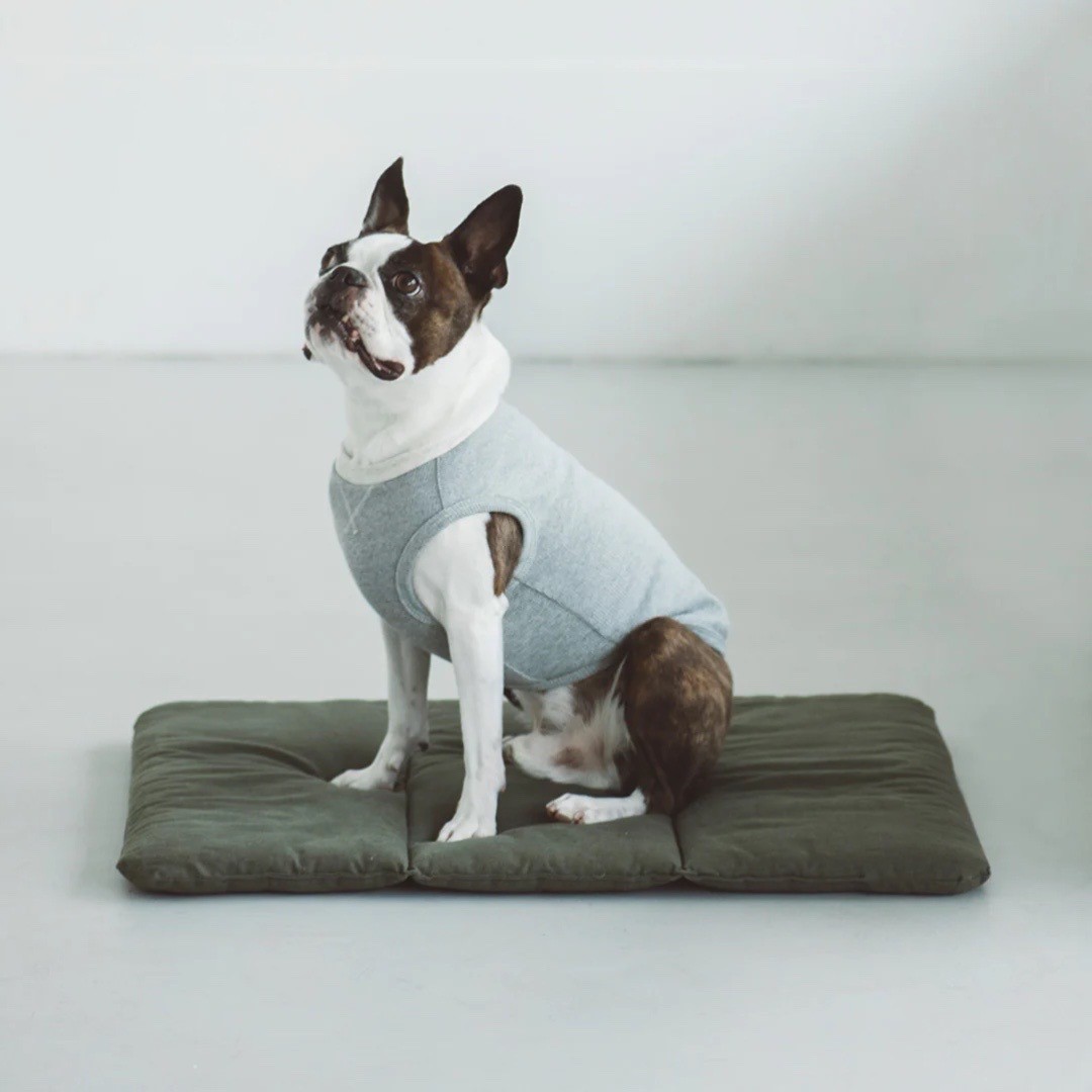 Portable Cushioned Soft Mat |  攜帶式軟墊