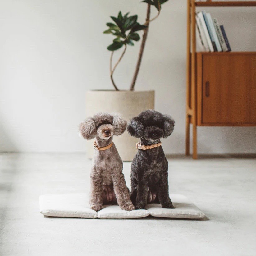 Portable Cushioned Soft Mat |  攜帶式軟墊
