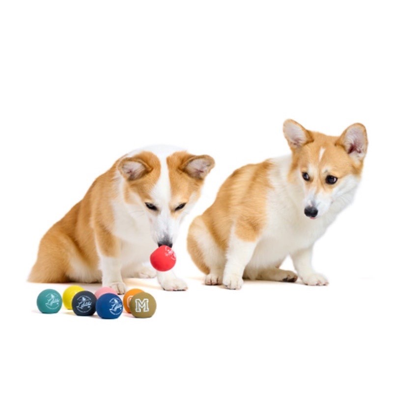 Latex toy ball ｜顏色字母乳膠玩具球