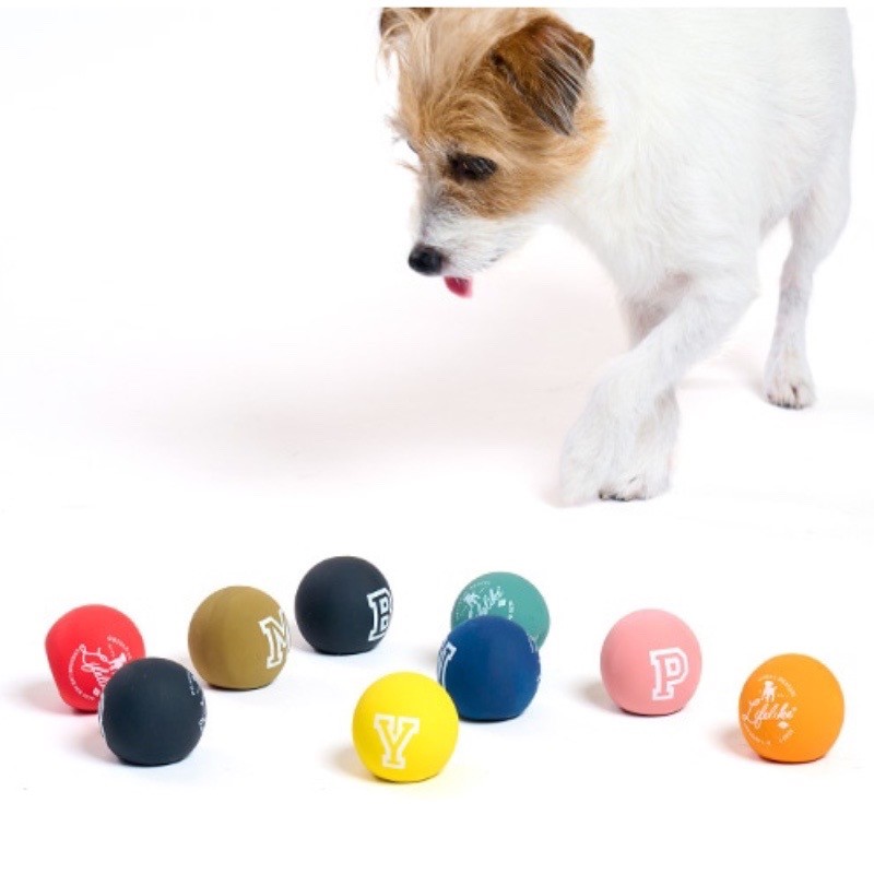 Latex toy ball ｜顏色字母乳膠玩具球