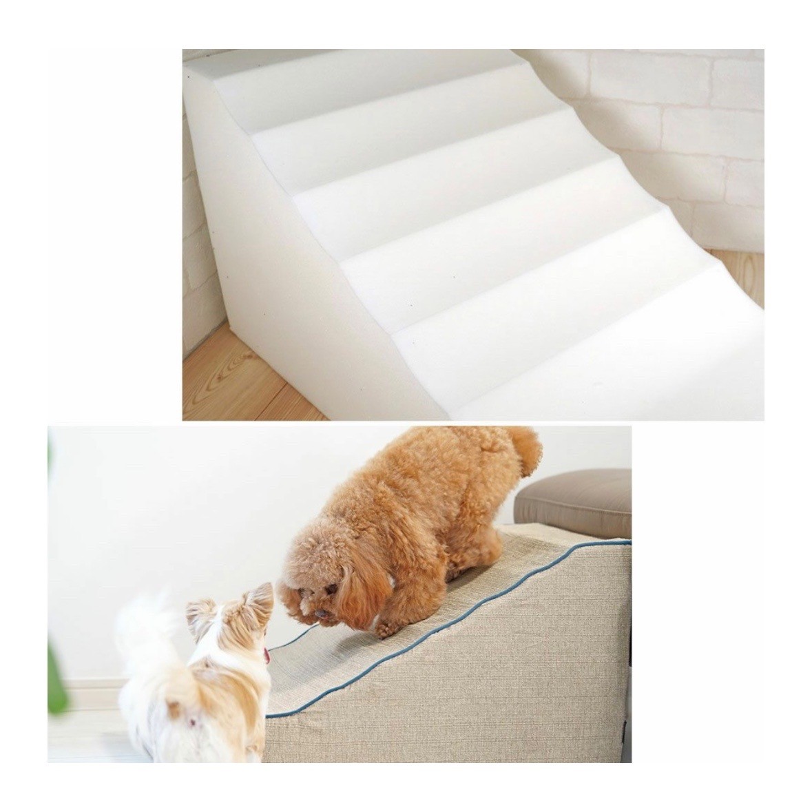 idog istep 引導斜坡梯
