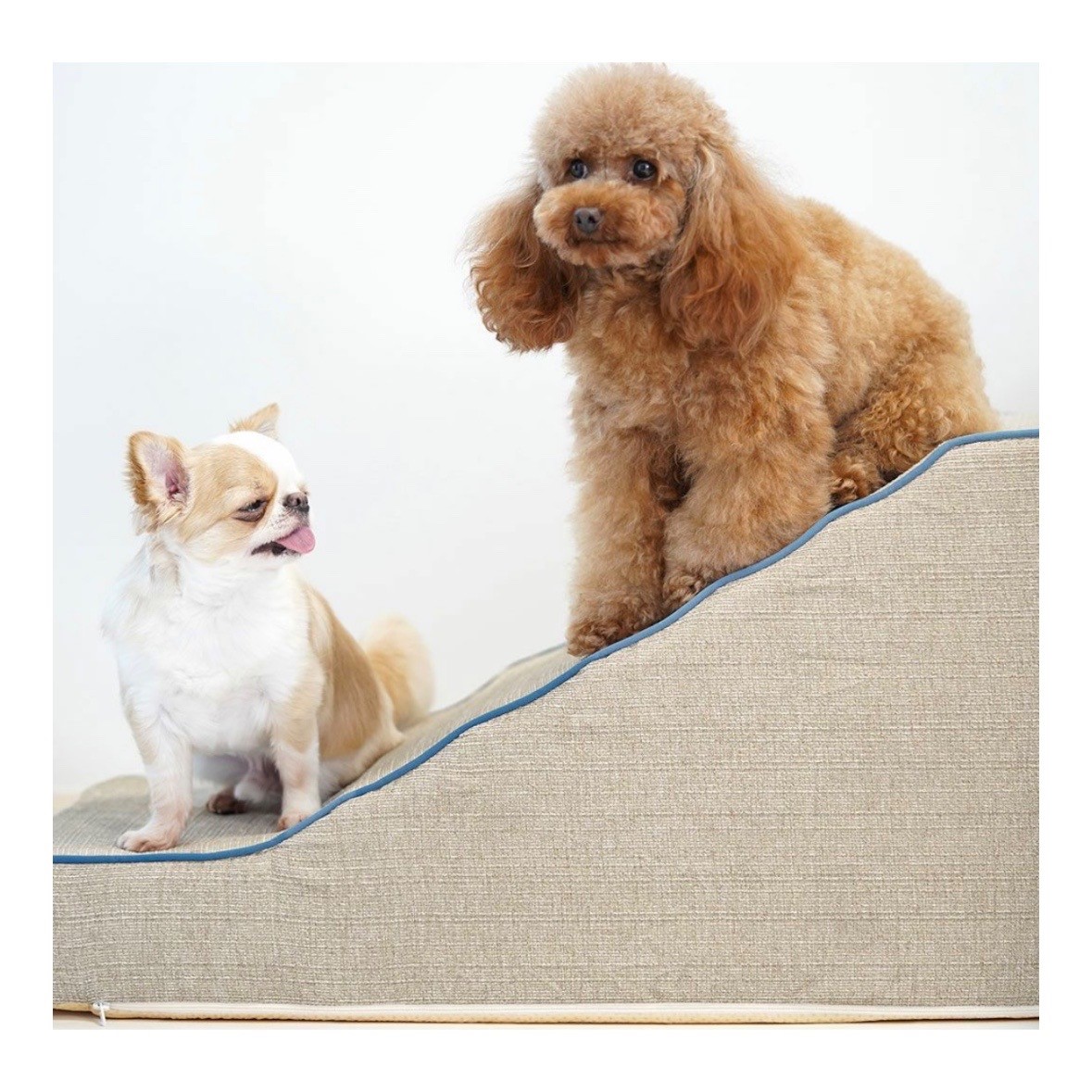 idog istep 引導斜坡梯