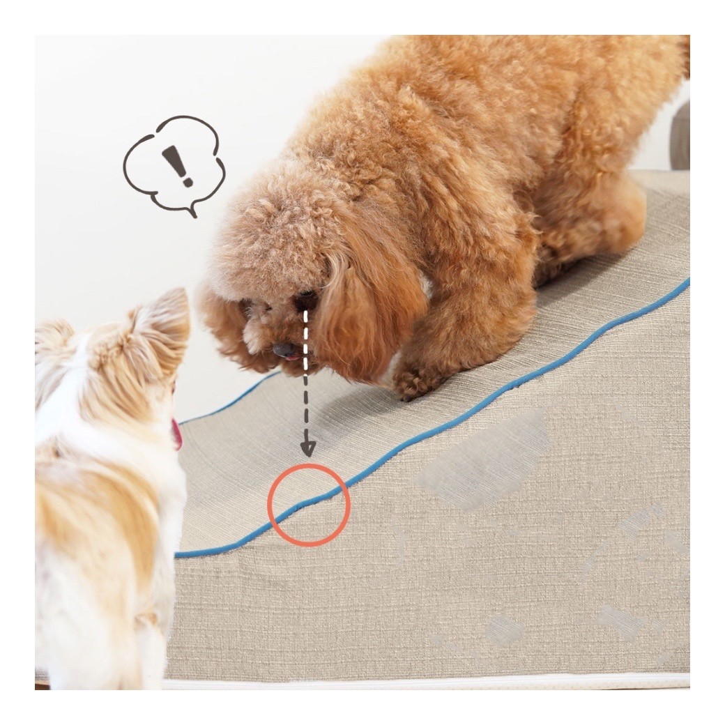 idog istep 引導斜坡梯