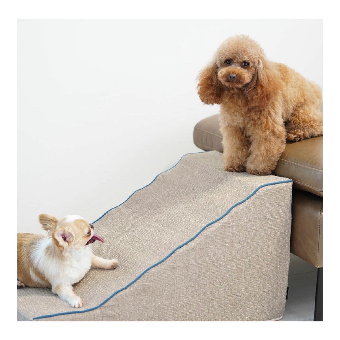 idog istep 引導斜坡梯