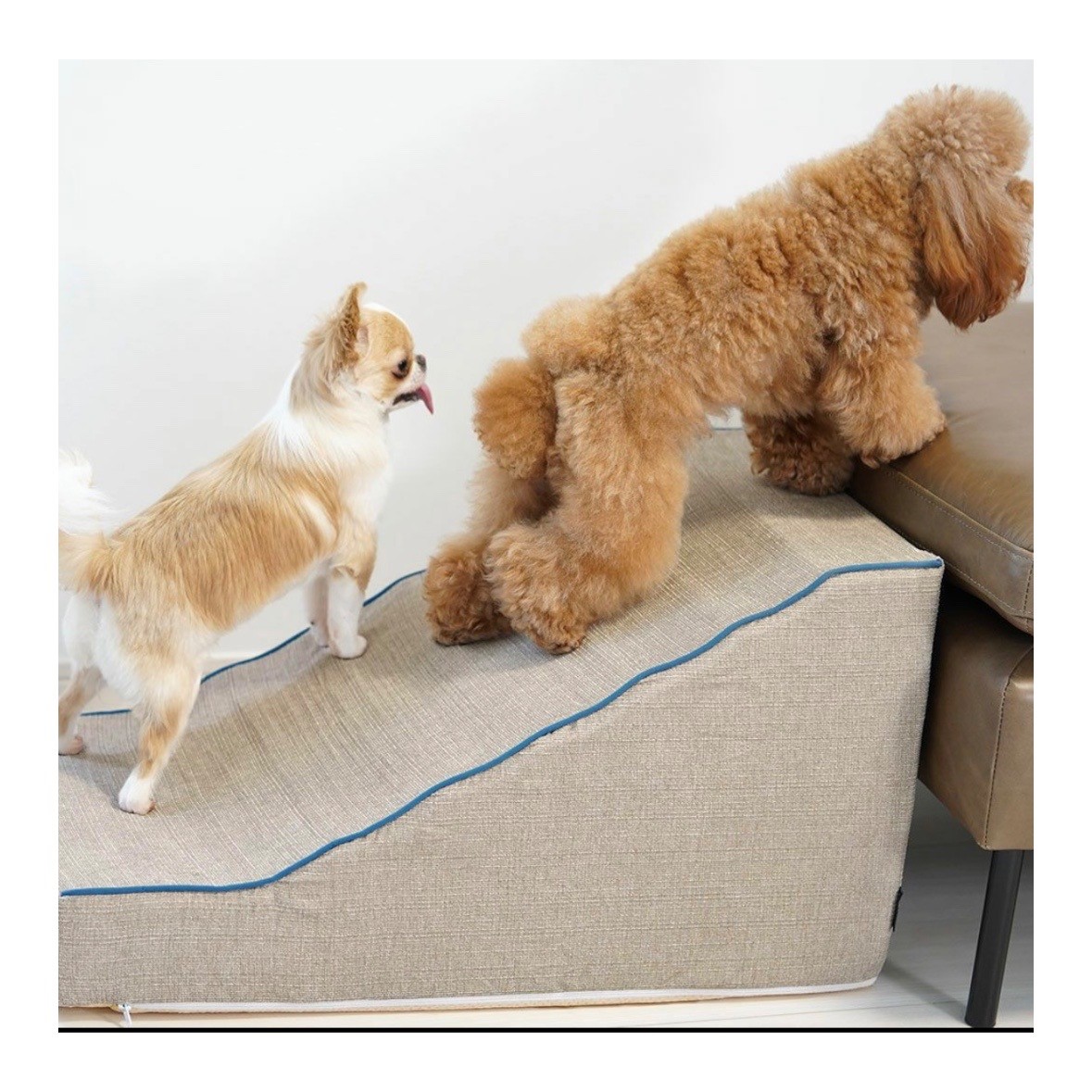 idog istep 引導斜坡梯