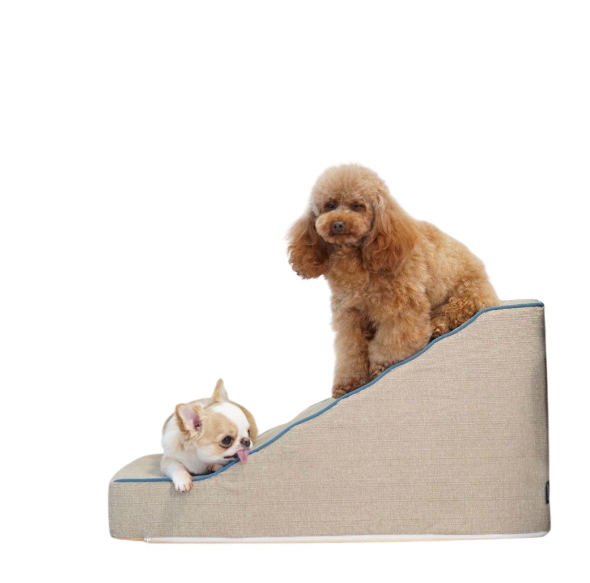idog istep 引導斜坡梯