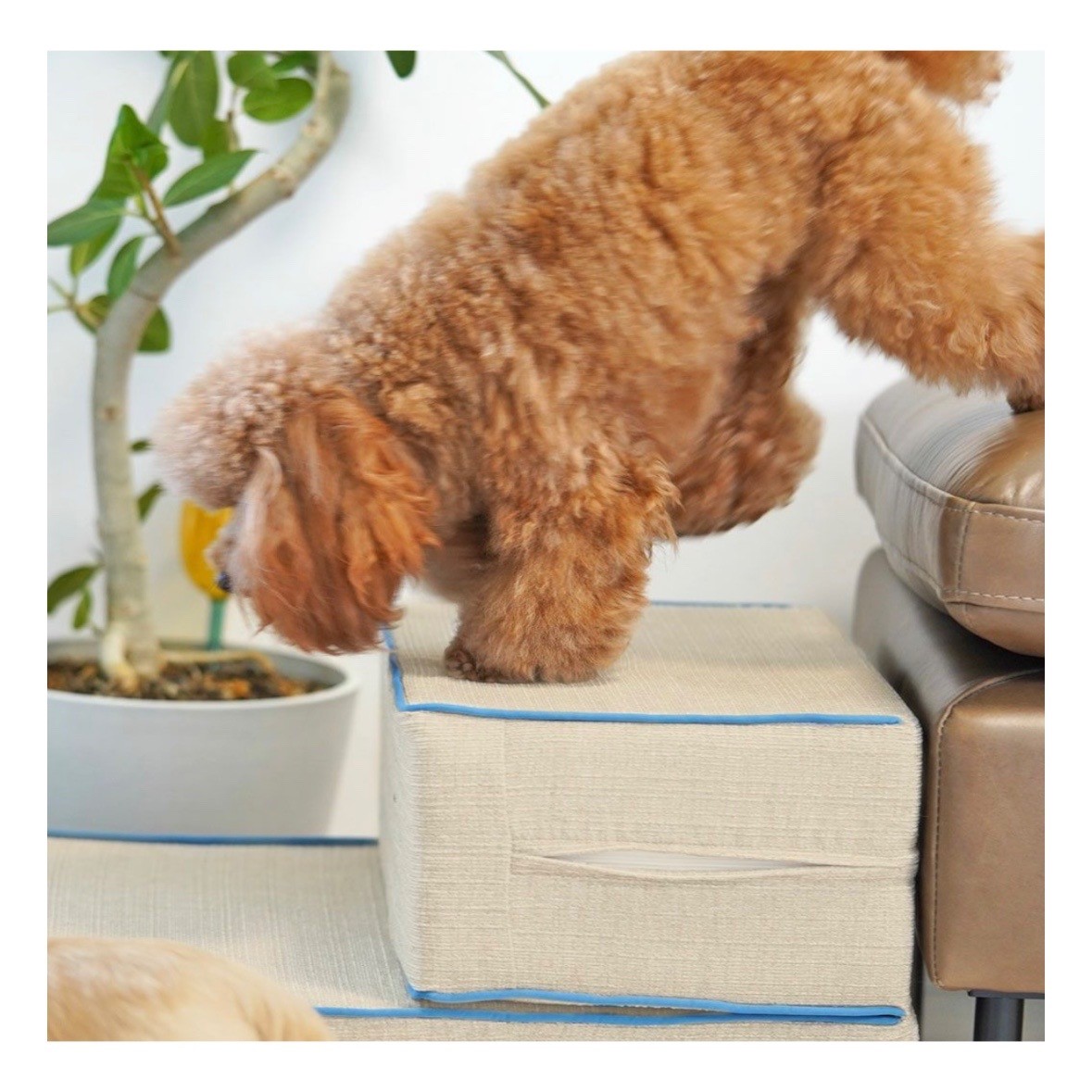 idog istep 引導兩階式樓梯