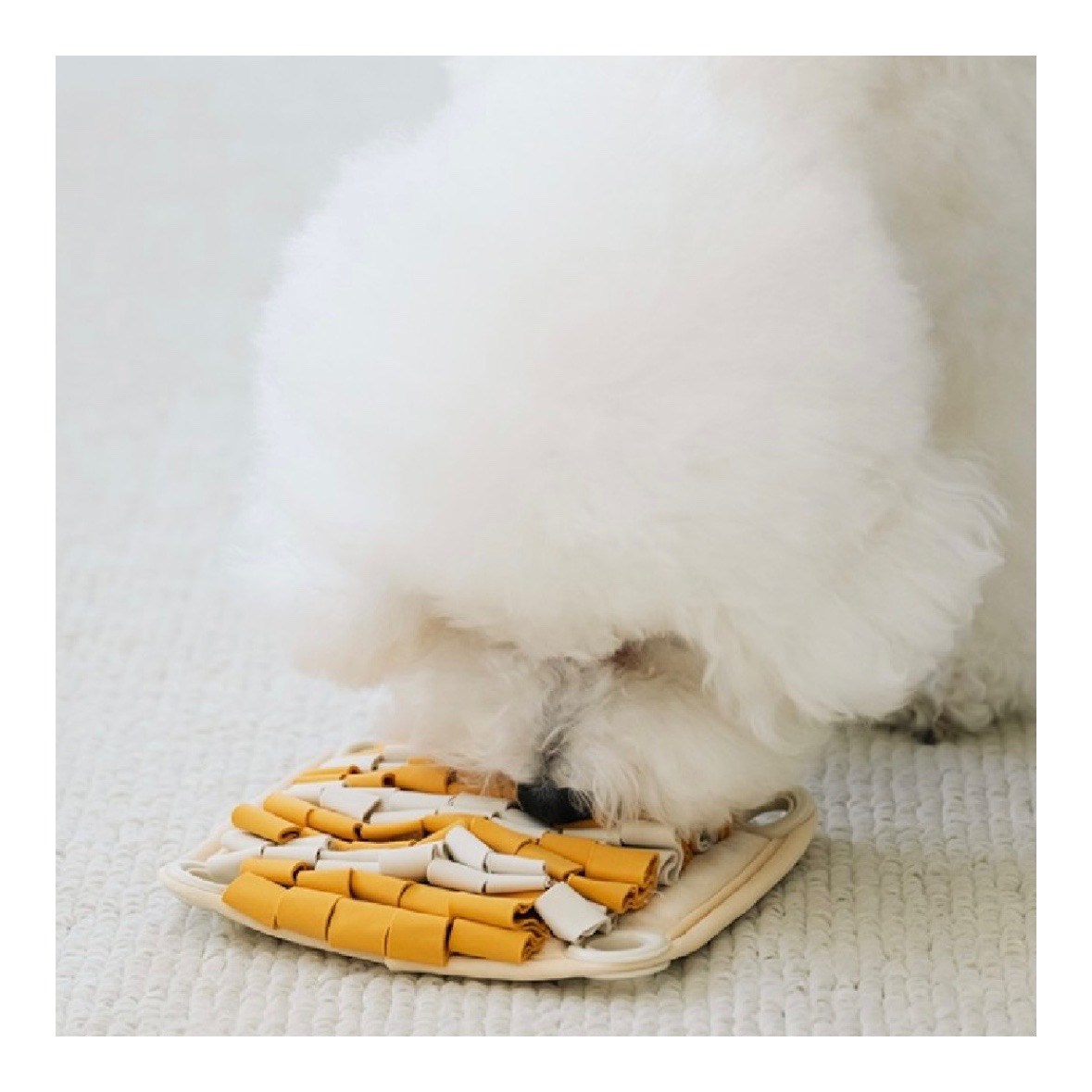 瘋狂松鼠藏食玩具