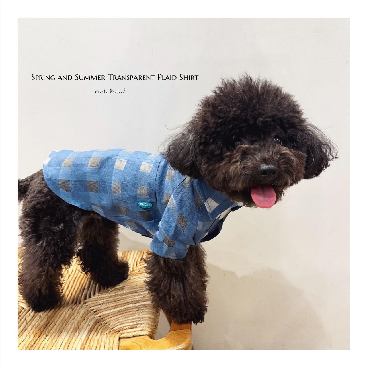 Spring and Summer Transparent Plaid Shirt ｜春夏透膚格紋襯衫