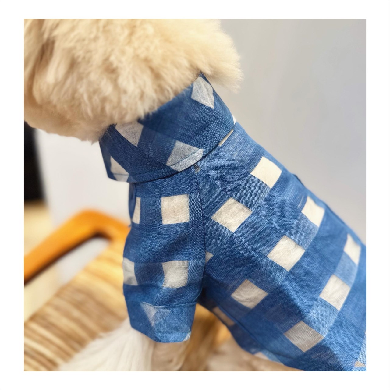 Spring and Summer Transparent Plaid Shirt ｜春夏透膚格紋襯衫
