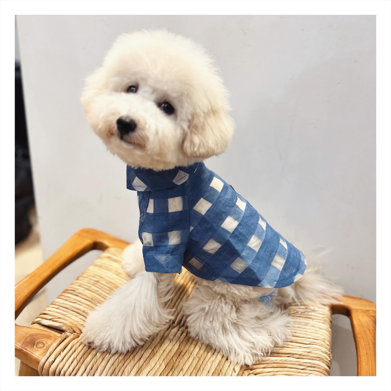 Spring and Summer Transparent Plaid Shirt ｜春夏透膚格紋襯衫