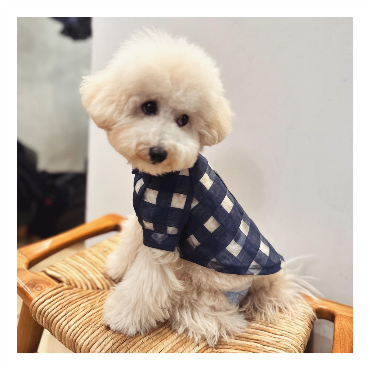 Spring and Summer Transparent Plaid Shirt ｜春夏透膚格紋襯衫