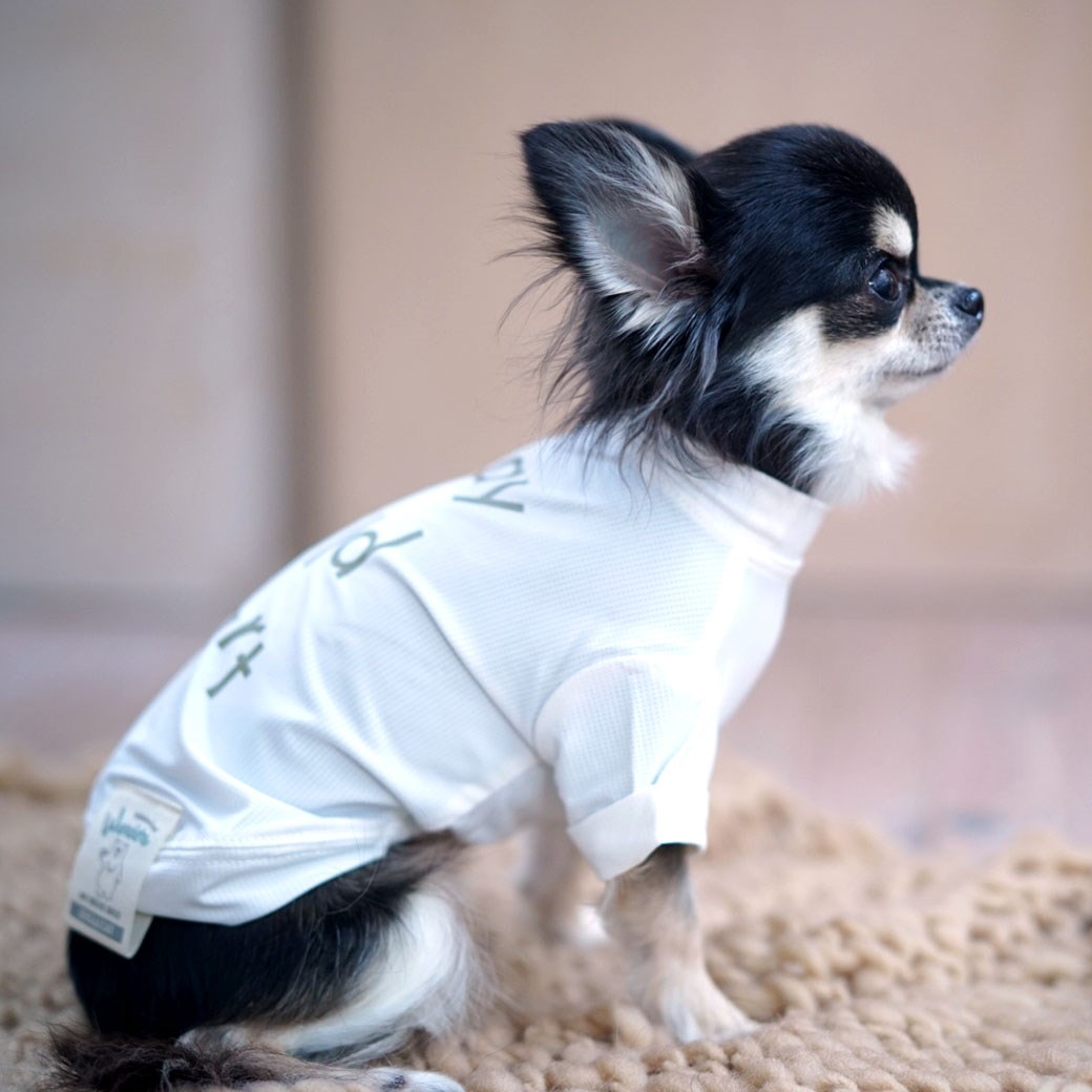 春夏可愛文字涼感 防蚊上衣