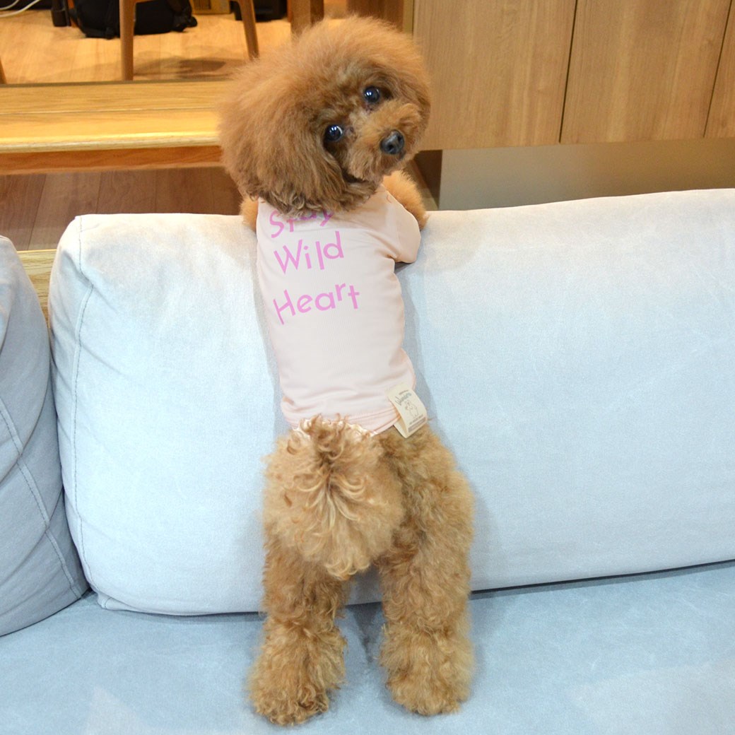 春夏可愛文字涼感 防蚊上衣