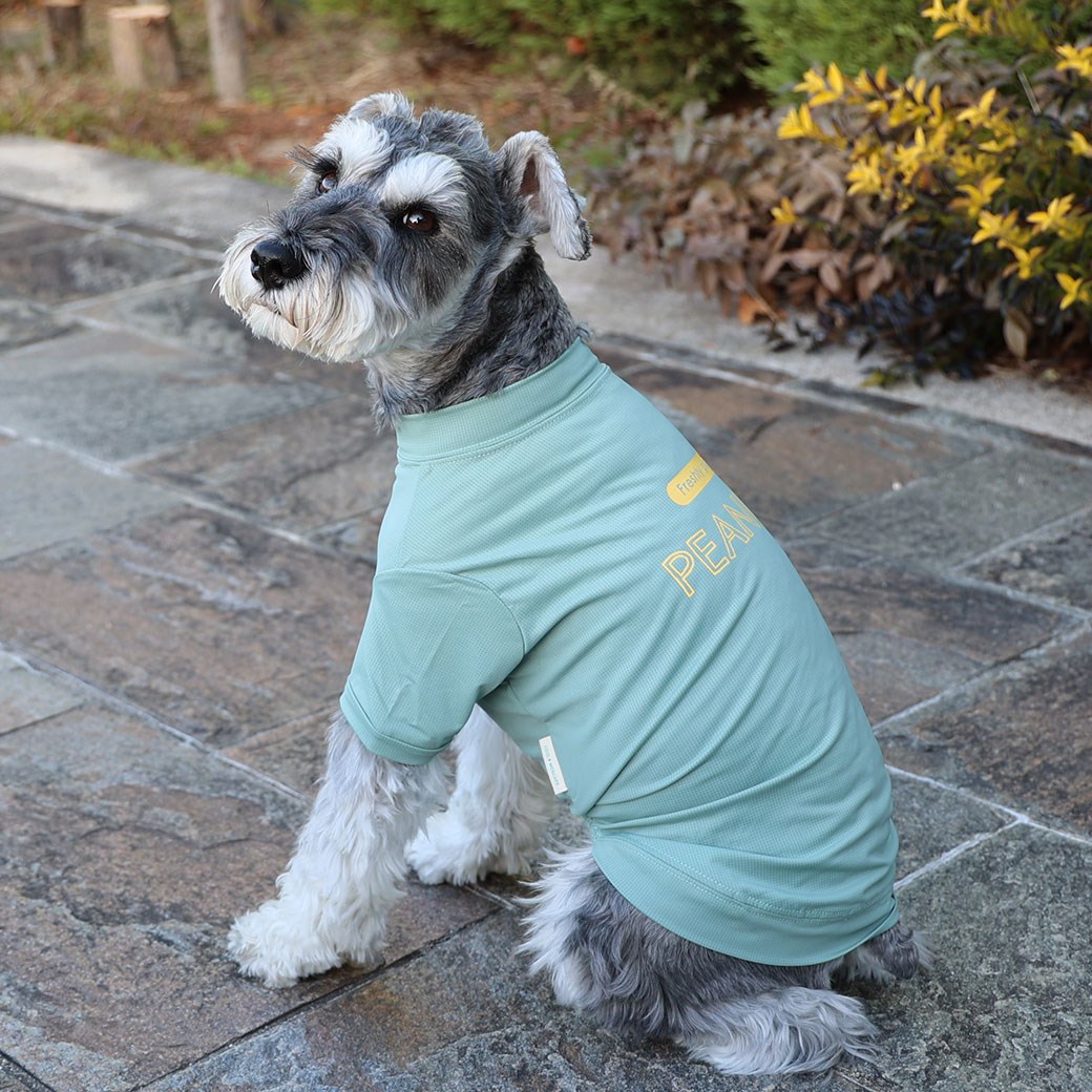 春夏可愛文字涼感 防蚊上衣