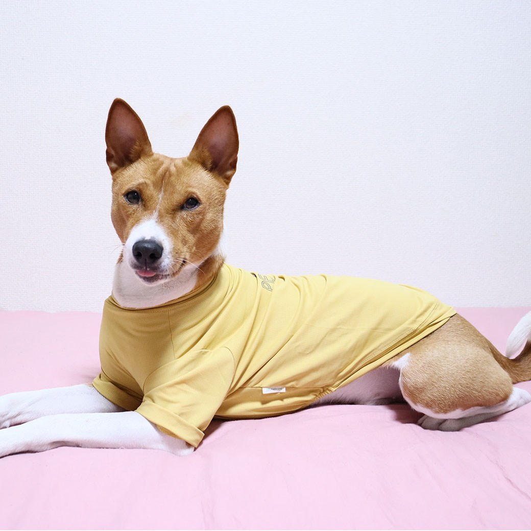 春夏可愛文字涼感 防蚊上衣