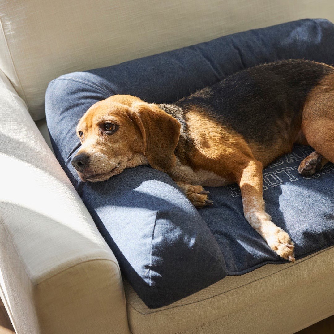 HEAD REST BED | L型靠枕沙發床 灰