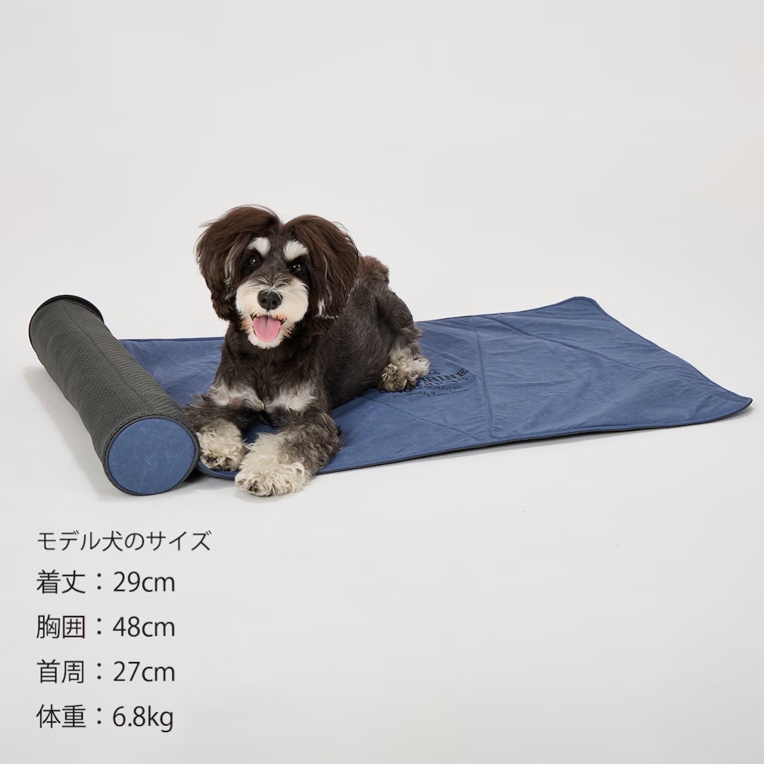 ICY COZY MINI MAT | 夏季急凍迷你墊 灰