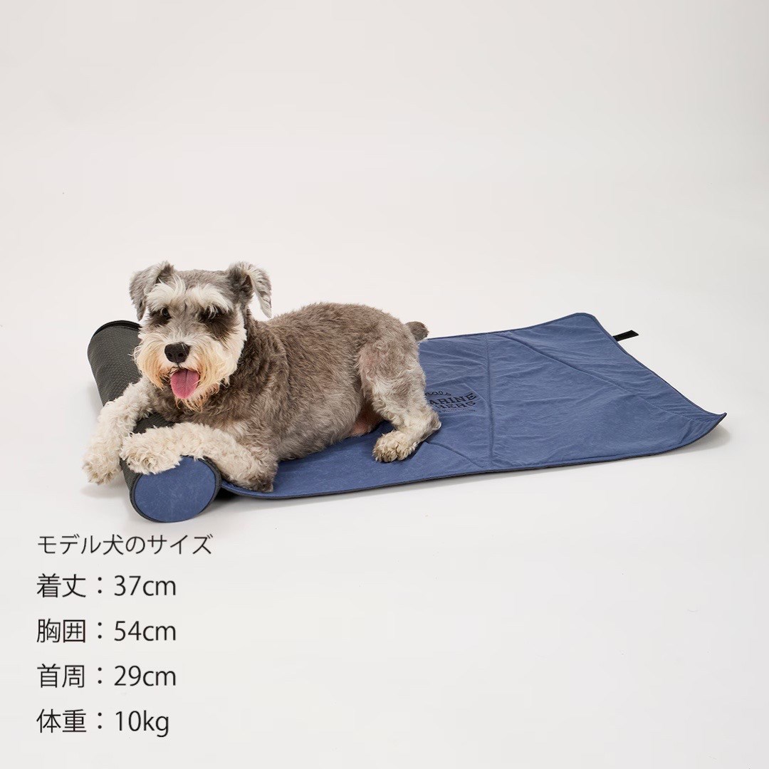ICY COZY MINI MAT | 夏季急凍迷你墊 灰