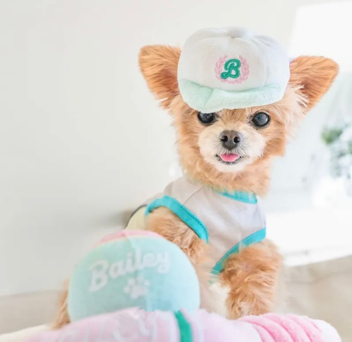 Bailey 運動家系列－網球帽