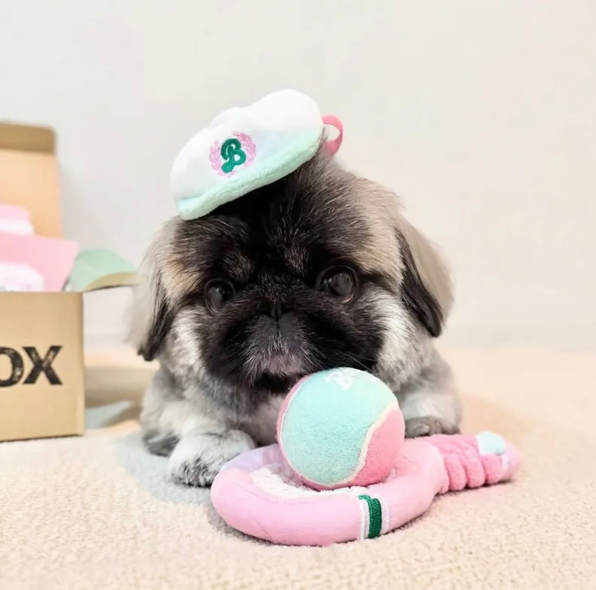 Bailey 運動家系列－網球帽