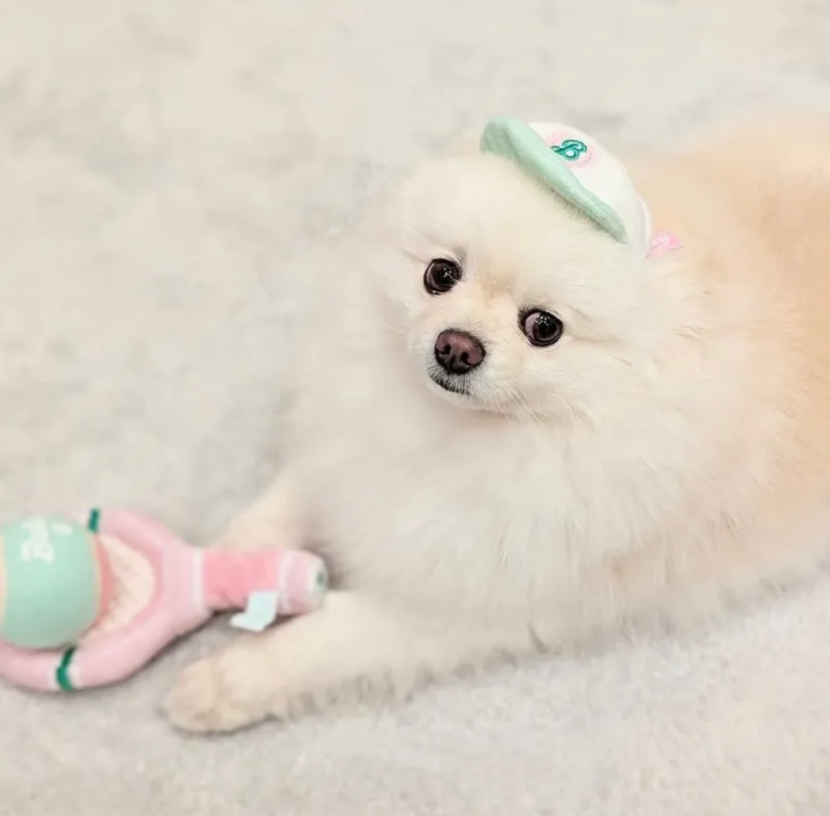 Bailey 運動家系列－網球帽