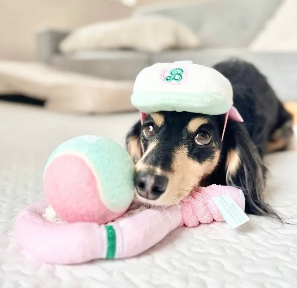 Bailey 運動家系列－網球帽