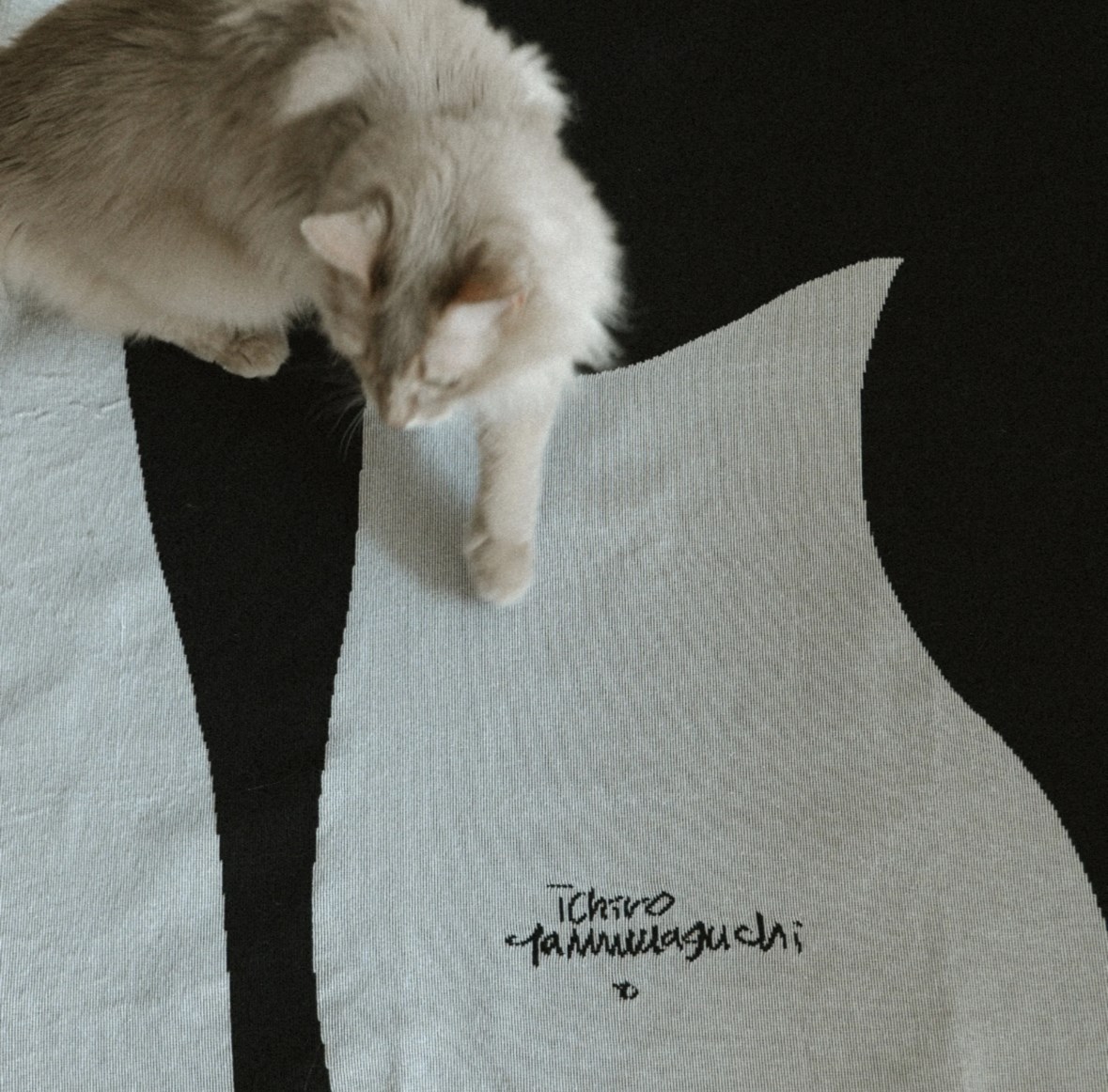 Multi Blanket “kuro neko” 山口一郎 藝術毯