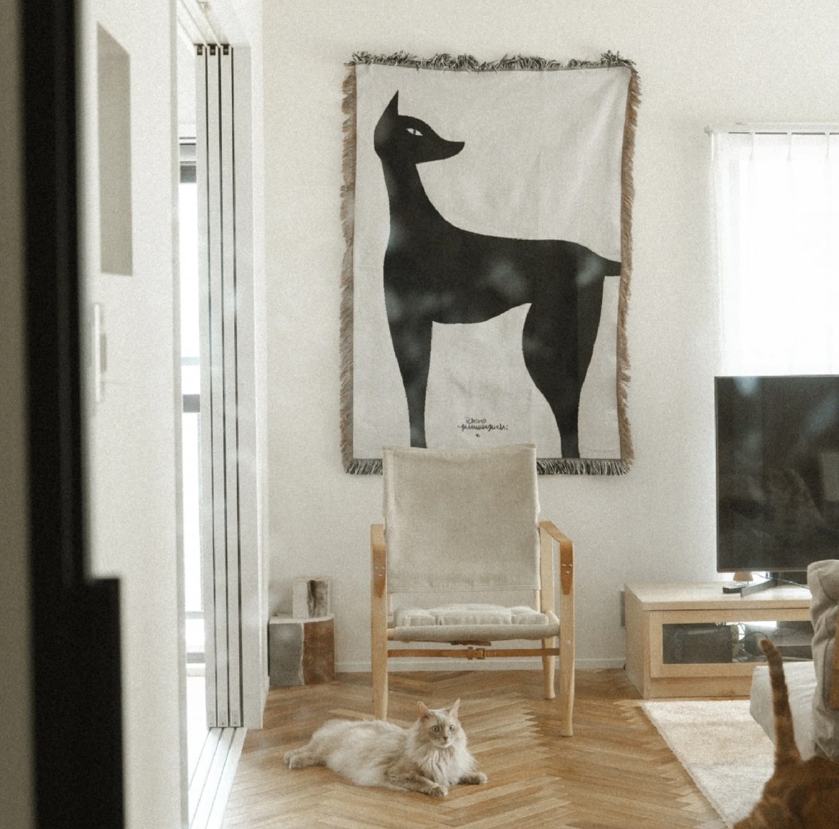 Multi Blanket “kuro neko” 山口一郎 藝術毯