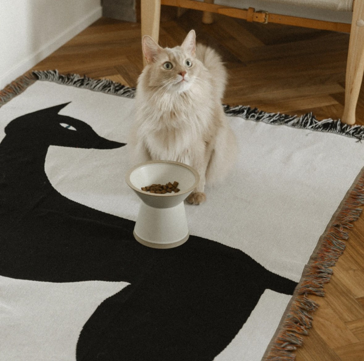 Multi Blanket “kuro neko” 山口一郎 藝術毯