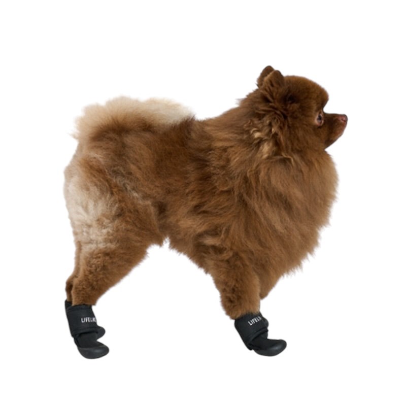 pet shoes | 寵物外出鞋