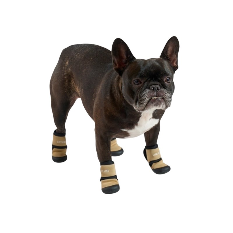 pet shoes | 寵物外出鞋