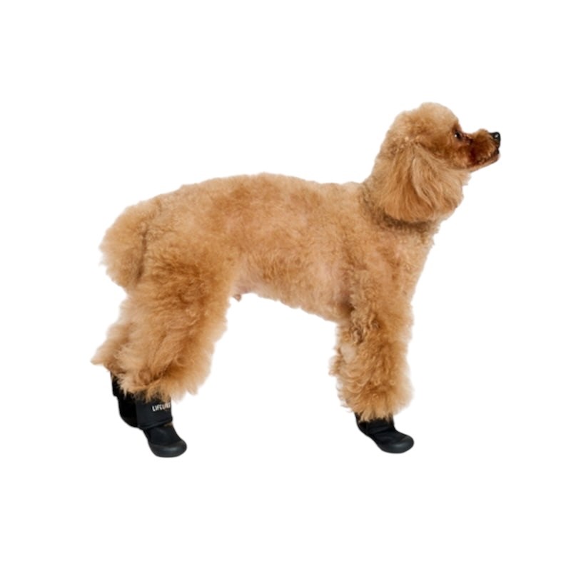 pet shoes | 寵物外出鞋