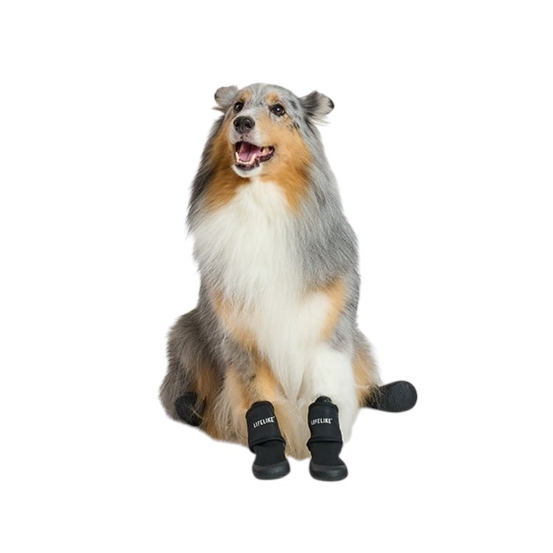pet shoes | 寵物外出鞋