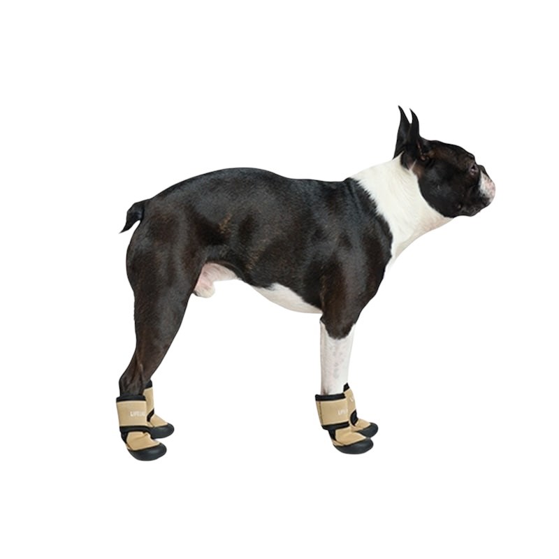 pet shoes | 寵物外出鞋