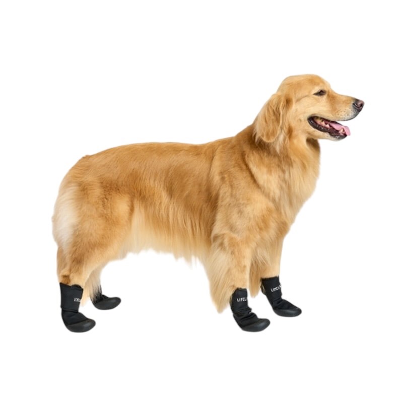 pet shoes | 寵物外出鞋