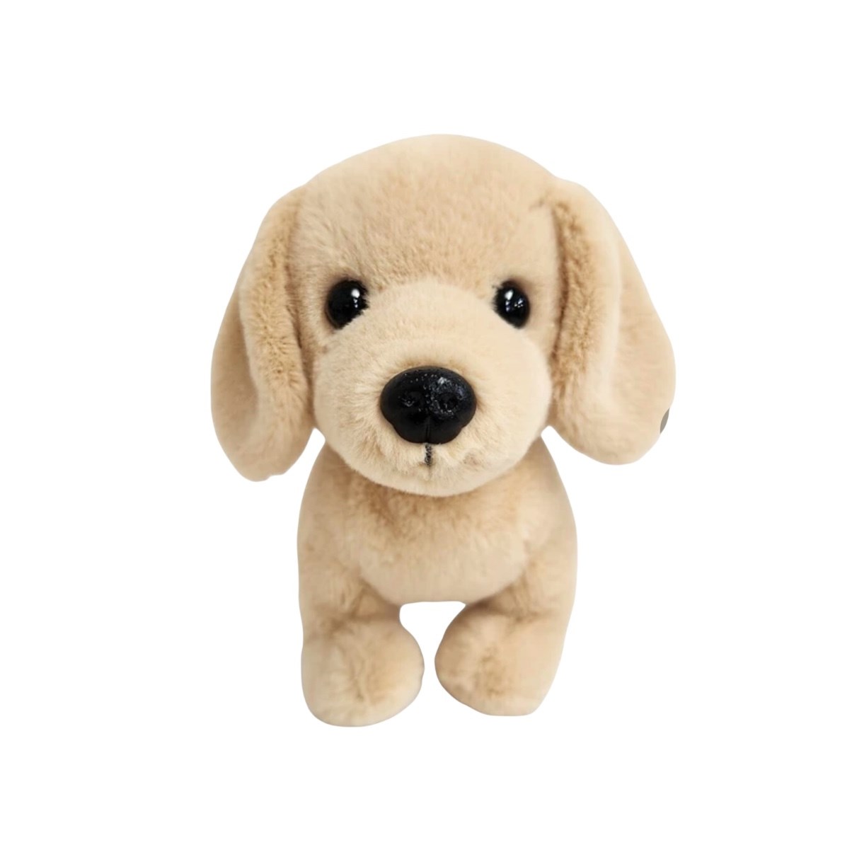 Dog Plush Doll | 狗狗絨毛玩偶