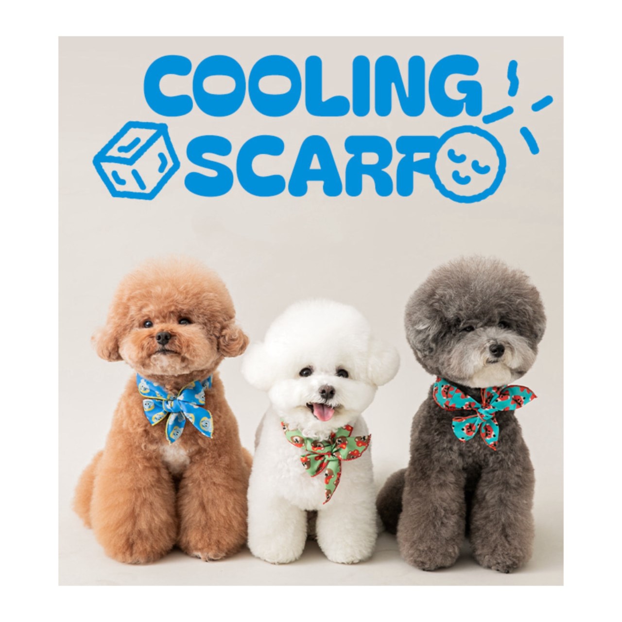 all day cooling scarf 極酷涼感領巾